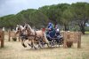 thumb_IMG_7570_1024