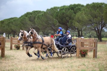 thumb_IMG_7570_1024