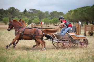 thumb_IMG_7612_1024