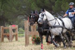 Concours Nîmes 2015