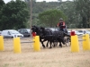 thumb_IMG_7041_1024