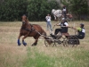 thumb_IMG_7183_1024