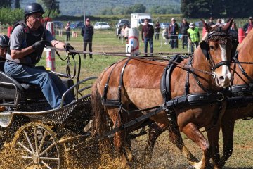 DSCF2524_1200