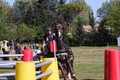 concours Tresques 2017