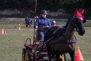 DSCF5447x1200