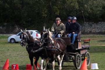 DSCF5484x1200
