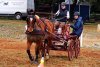 DSCF0890_1200