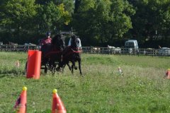 Journée du cheval 2015