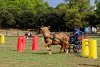 DSCF1065_1200