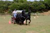 DSCF1084