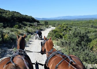 DSC_2191_2