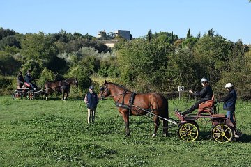 DSC_2301_2