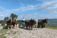 les_hauteurs_de_la_Vaunage