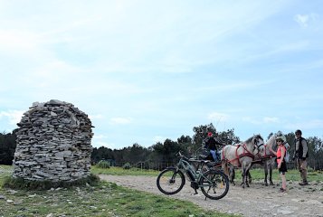 DSC_1587-1200