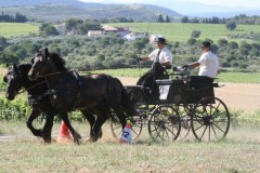 Maniabilité Castries 2012