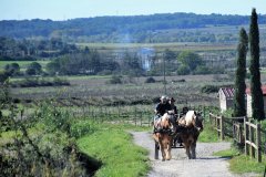 Nages et Solorgues 2022