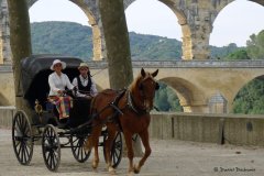 Pont du Gard 
