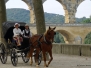 Pont du Gard 
