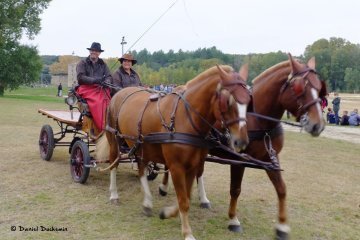 Bruno&Adeline