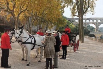 Camargues