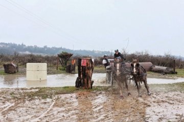 S0340418_DxO.jpg
