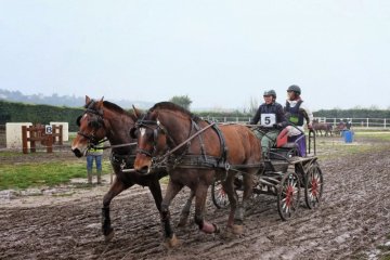 S0420438_DxO.jpg