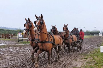S0600476_DxO.jpg