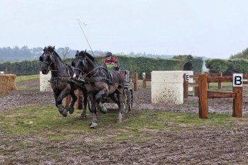 S0610478_DxO.jpg