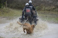 Printemps de l'attelage Uzès 2015