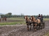 S0410436_DxO.jpg