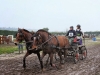 S0420438_DxO.jpg