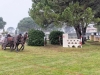 S0460447_DxO.jpg