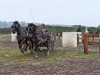 S0610478_DxO.jpg