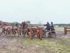 S0650487_DxO.jpg