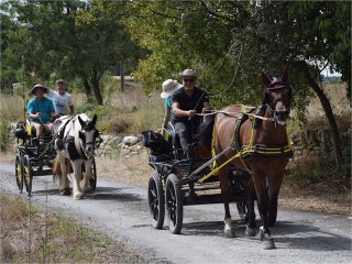 DSC_0495x1200