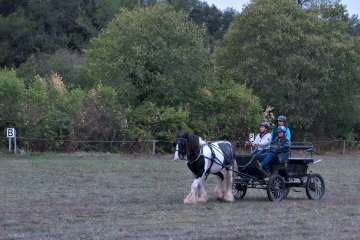 DSCF9305_2-2
