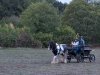 DSCF9305_2-2