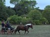 DSCF9308_2-2