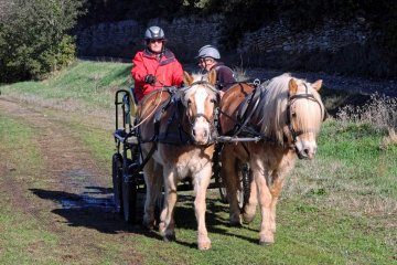 DSCF5238_1200