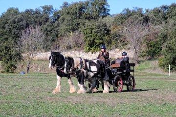 DSCF5297_1200