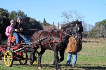 DSCF5298_1200