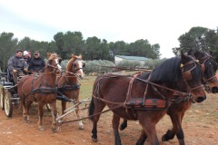 Stage Sebastien Mourrier janvier 2013