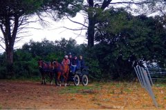 Stage topographie 2016