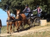 DSCF1164_1200