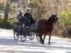 POR du TREC d'Uzès (43)1200