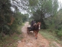 TREC en attelage 2015