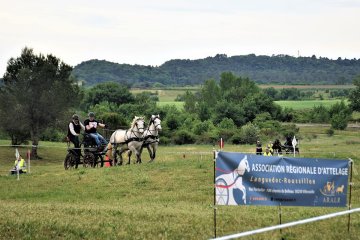 Created with GIMP by Atila