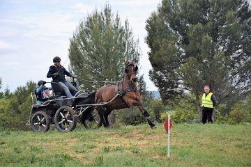 DSC_2251-1200
