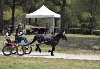 DSC_2270-1200