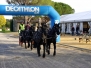 TREC Uzes 2016